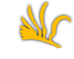 Funeral Care